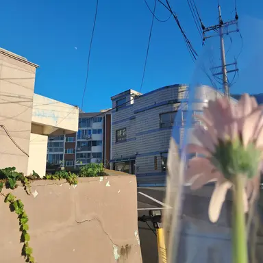 Profile image of 이민호