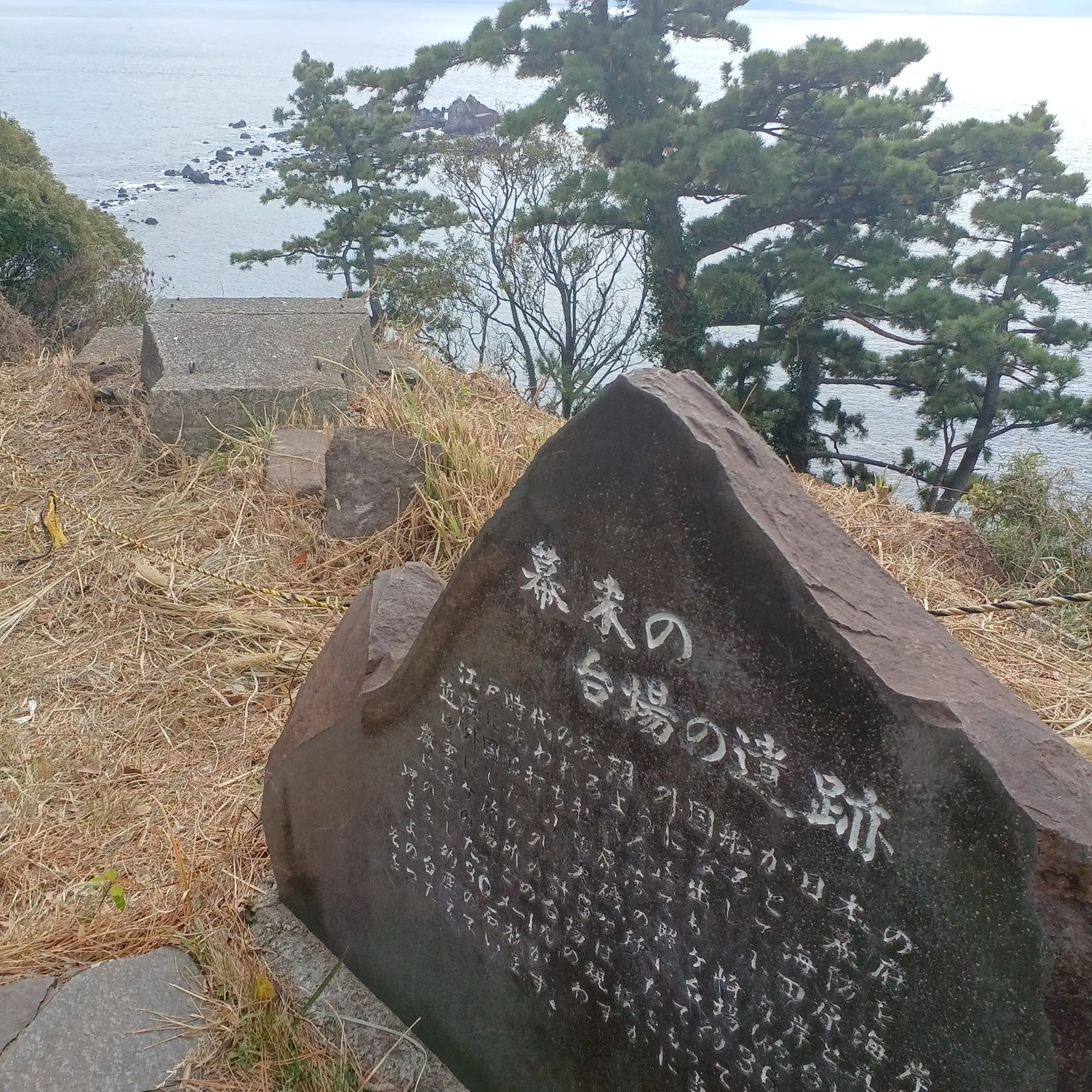 SassySocks5869의 この旅客機は忘れられないのさ。