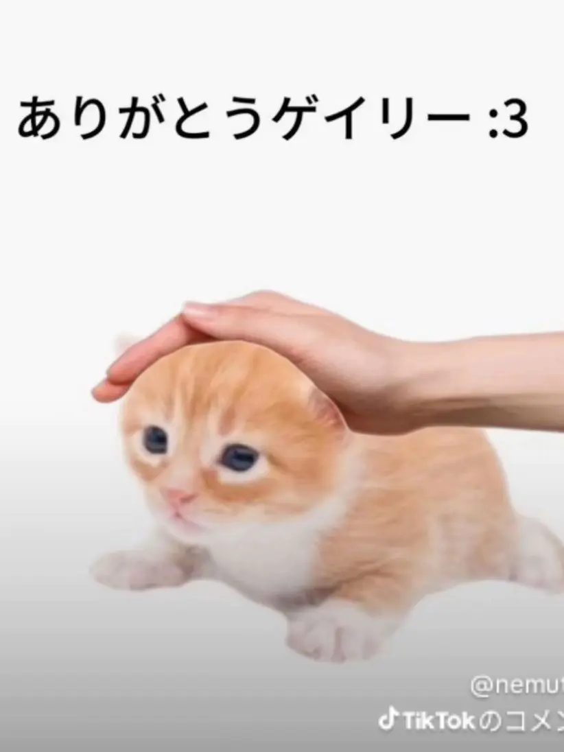 FrayedSalt7649의 叶わぬ片思い（テスト）