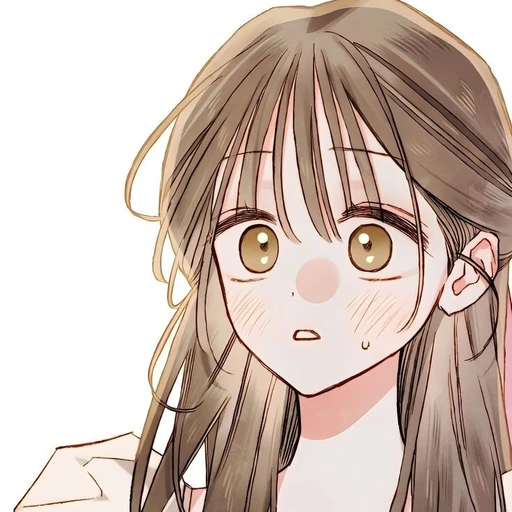 노아