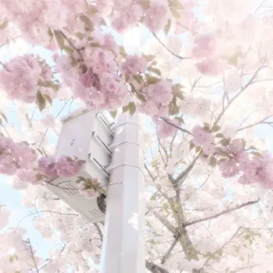 Profile image of 밥풀