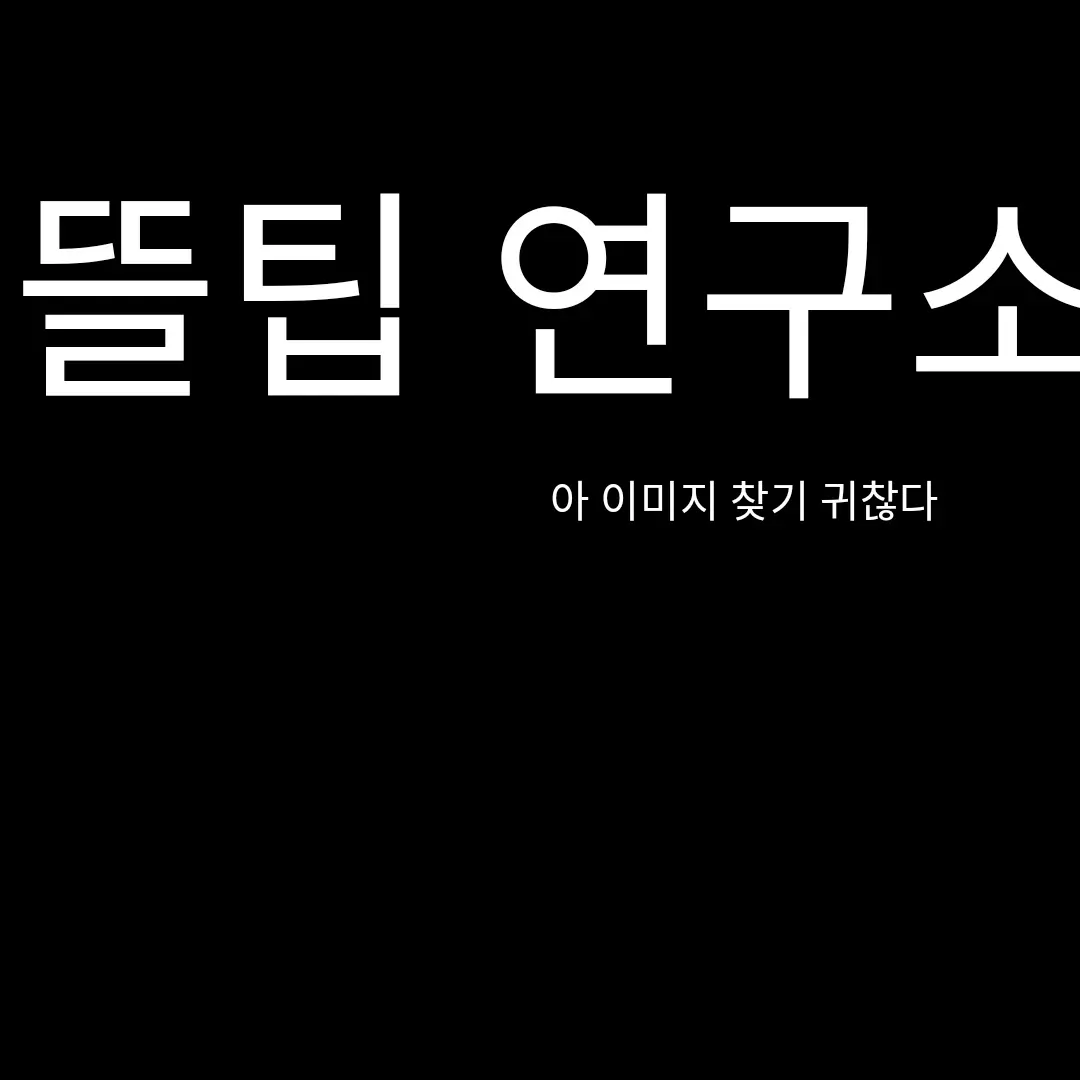 so6325의 뜰팁 연구소