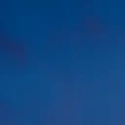 Profile image of 中也