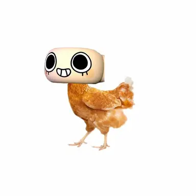 Profile image of Shelly