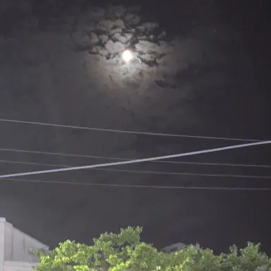 Profile image of 라경사