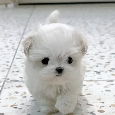 Profile image of 여상