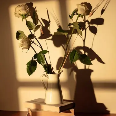 Profile image of 천년나무