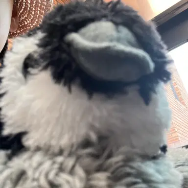 Profile image of 고고프렌즈