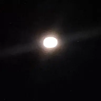 Profile image of 테스트용