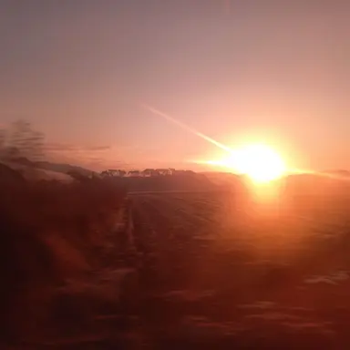 Profile image of 라더