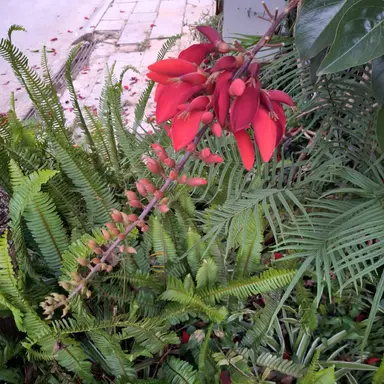 Profile image of 공룡