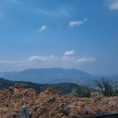 Profile image of 잠뜰