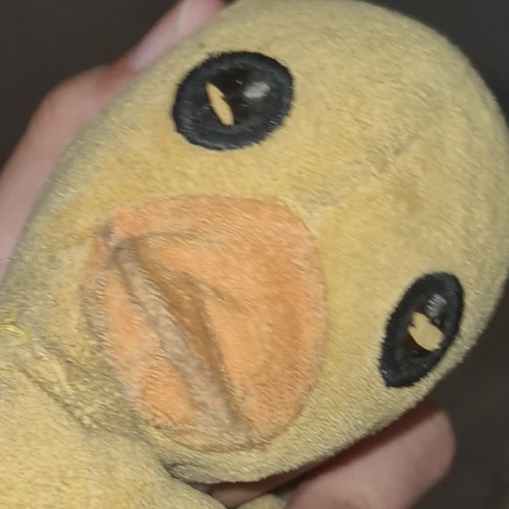 꽥꽥이