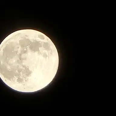 Profile image of 윤영준