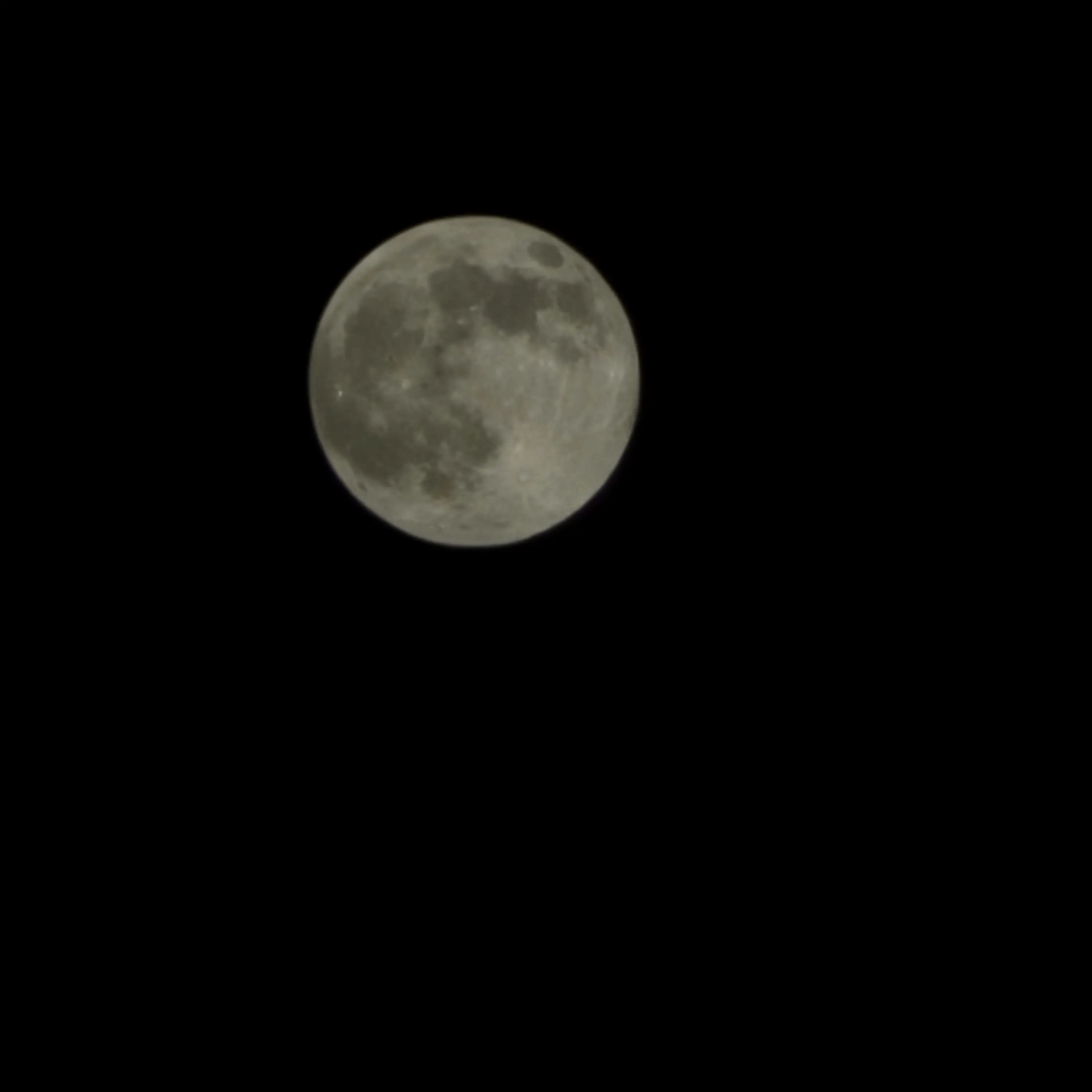 MagicMarsh4819의 하기와를 이겨라 컨텐츠