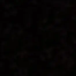 01txt01의 최범규