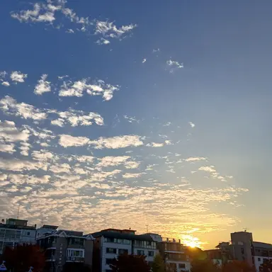 Profile image of 아이자와 쇼타