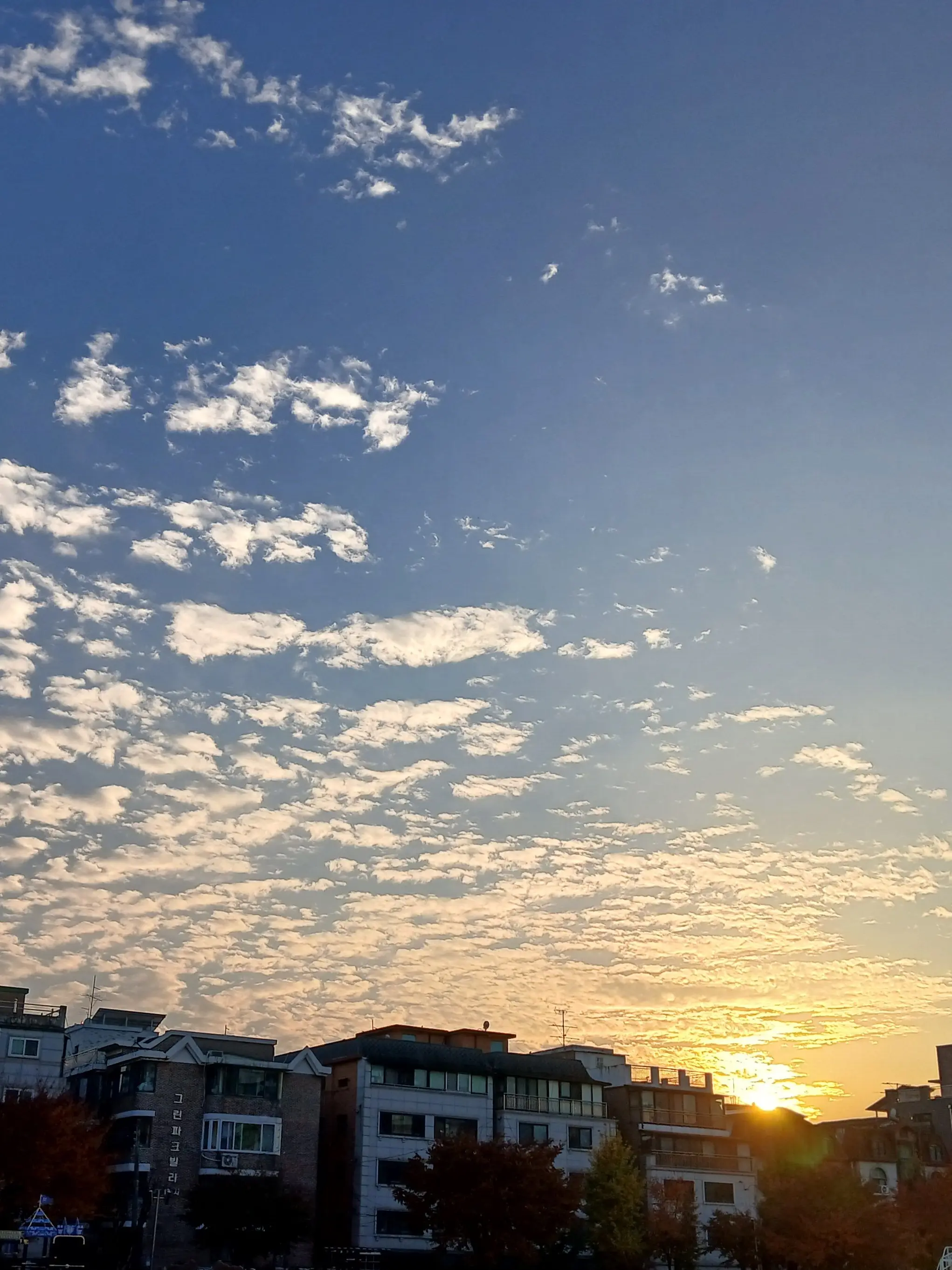 Kimistp의 그만하자.