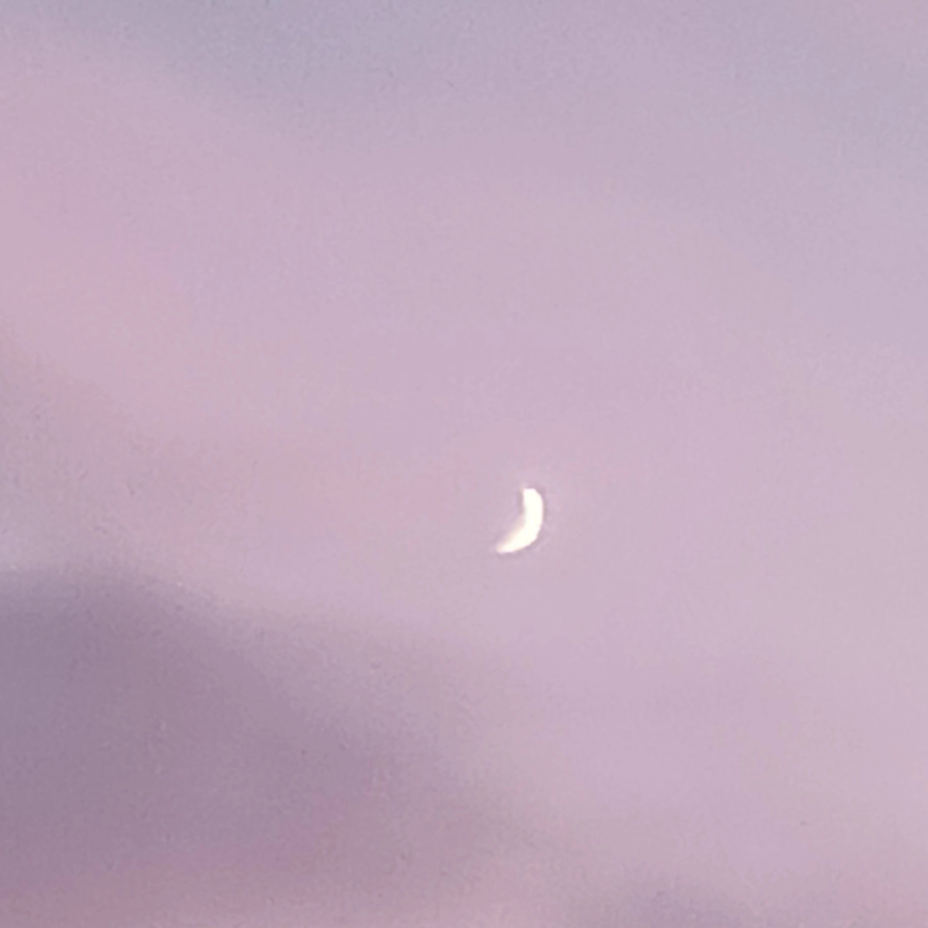 柱たち