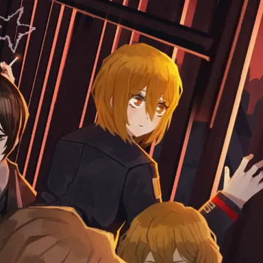 Profile image of ドンキホーテ