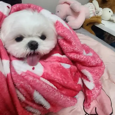 Profile image of 밀크