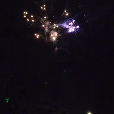 Profile image of 佐藤