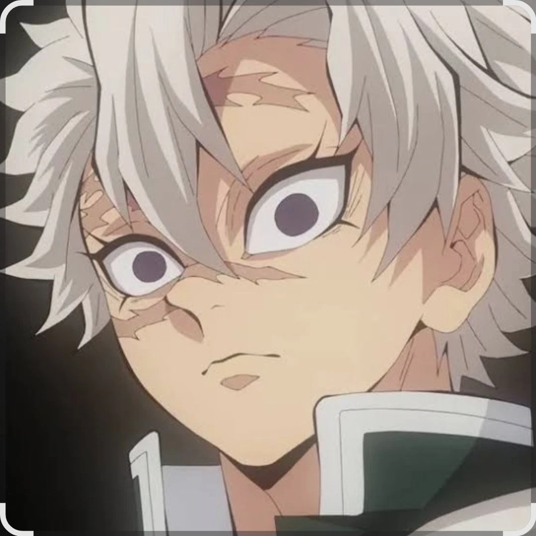 시나즈가와 사네미