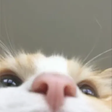 Profile image of Lee Nakyoung