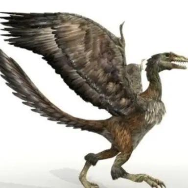 Profile image of 론 피인 산의 악마