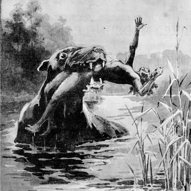 Profile image of 버닙