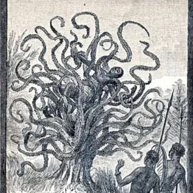 Profile image of 야테베오