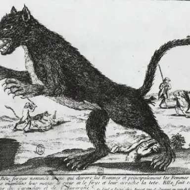 Profile image of 제보당의 괴수