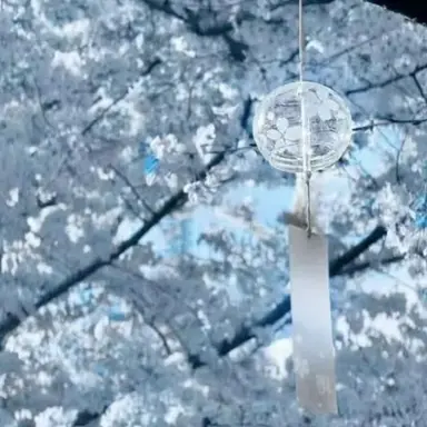 Profile image of 티푸