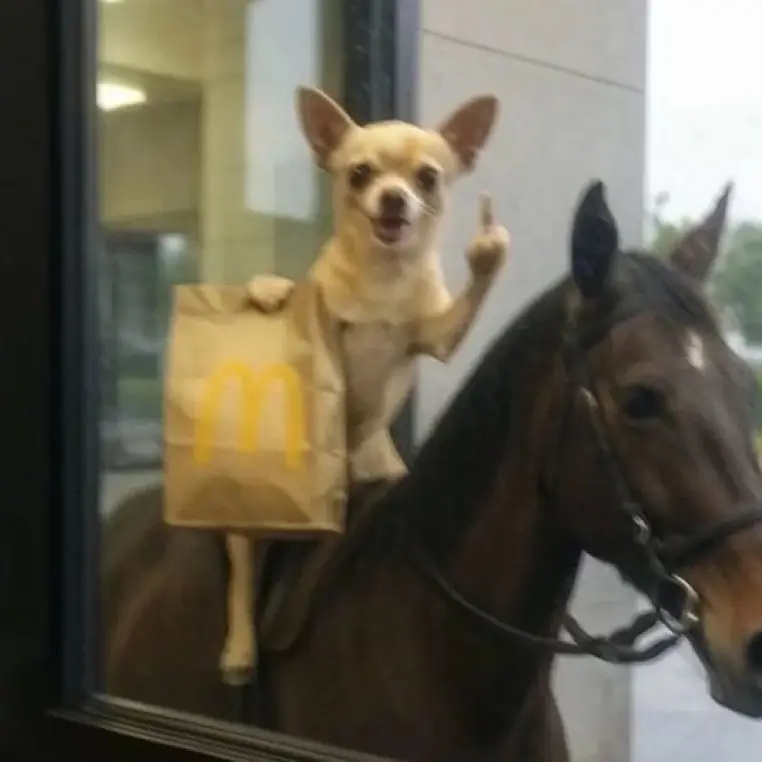 dontstealmyuniform의 ㅤ