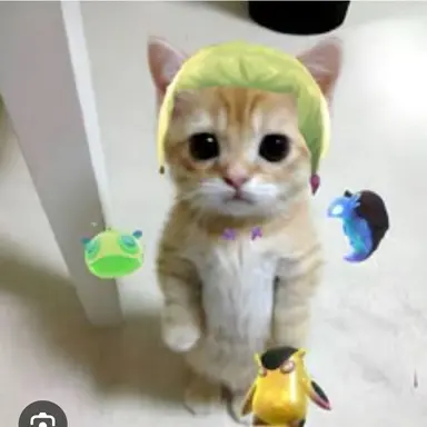 Profile image of 게코