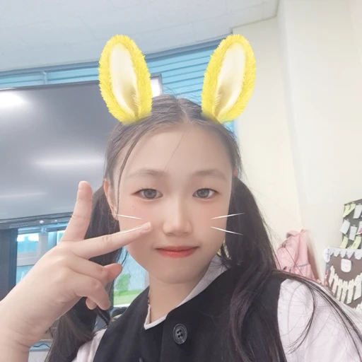 보미