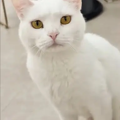 Profile image of 우유