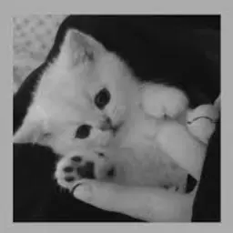 Profile image of ハンス