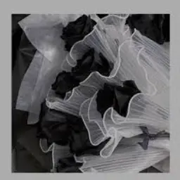 Profile image of ミンギ