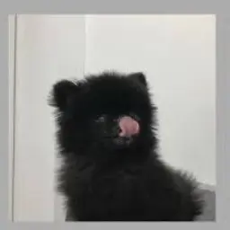 Profile image of サンミン