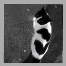 Profile image of グンモ