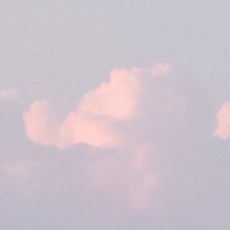 류