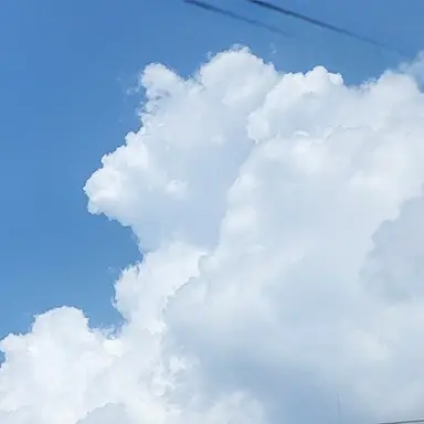 Profile image of 잭