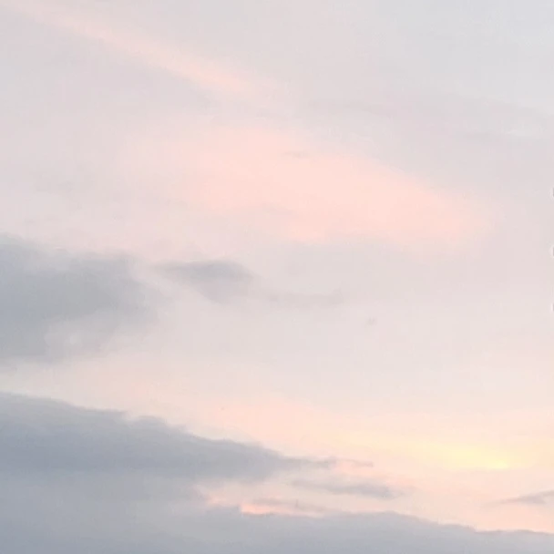 제미니