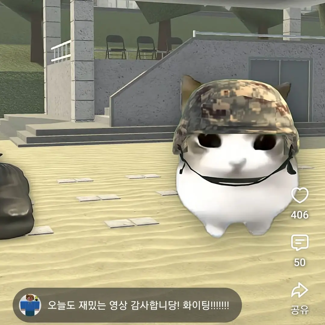 MadWharf3417의 담담디디디디 고양이를 팀나빠가 입양