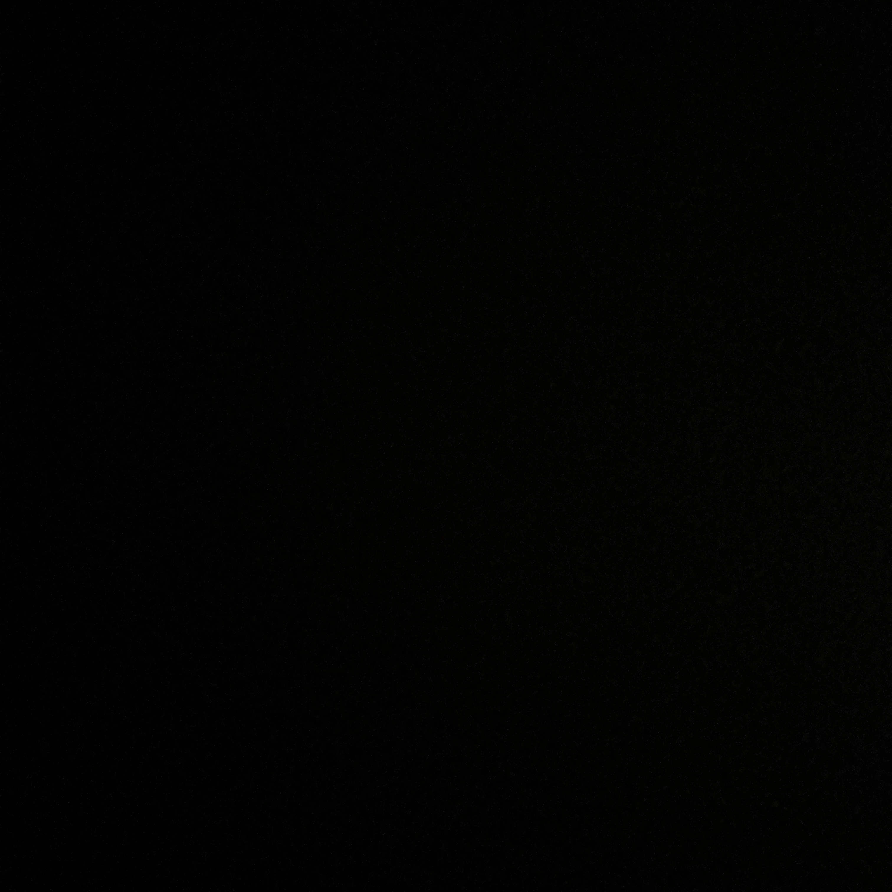 정재현