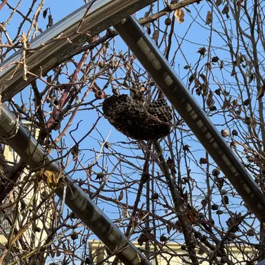 Profile image of 10대 소년범