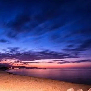 Profile image of 여우