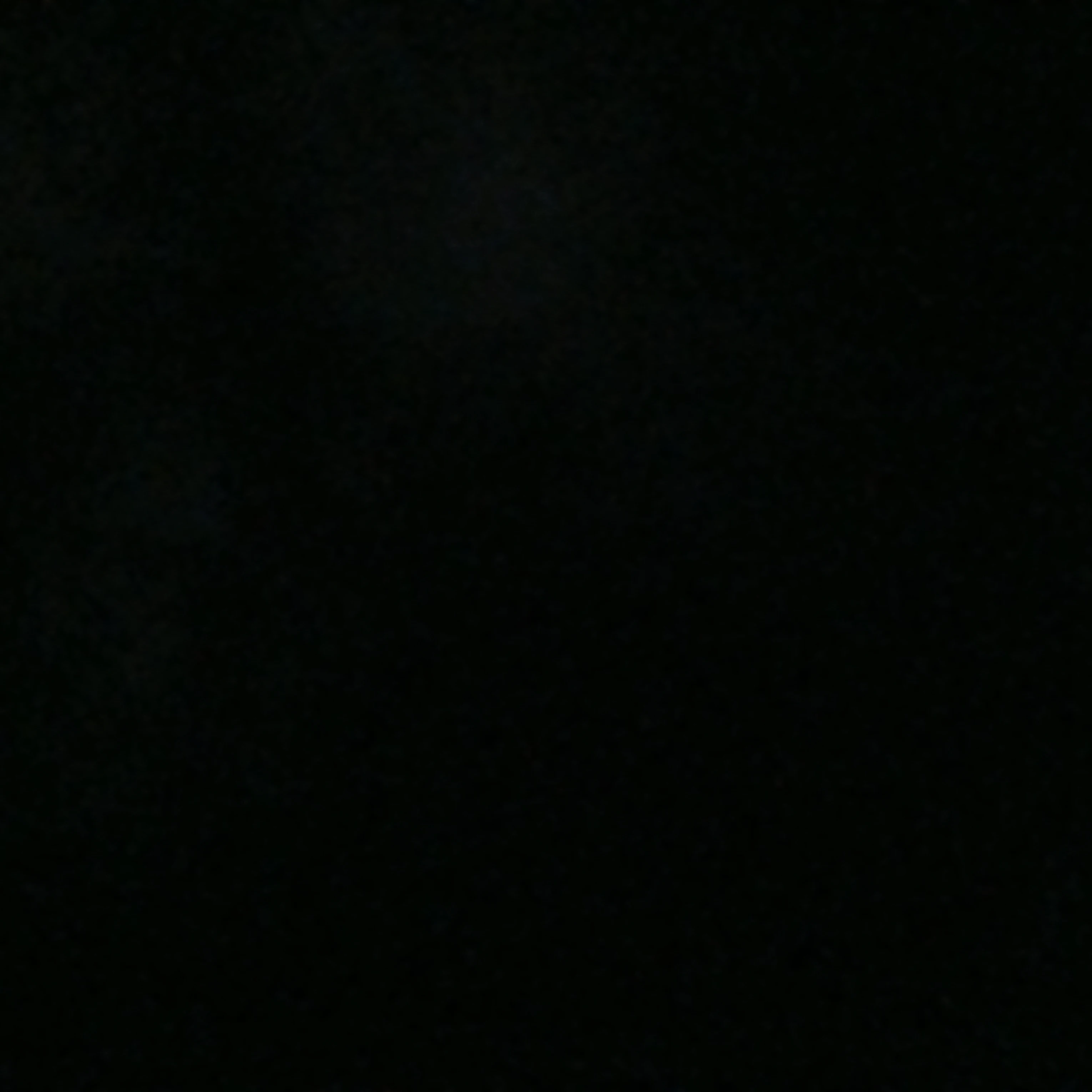 차연우