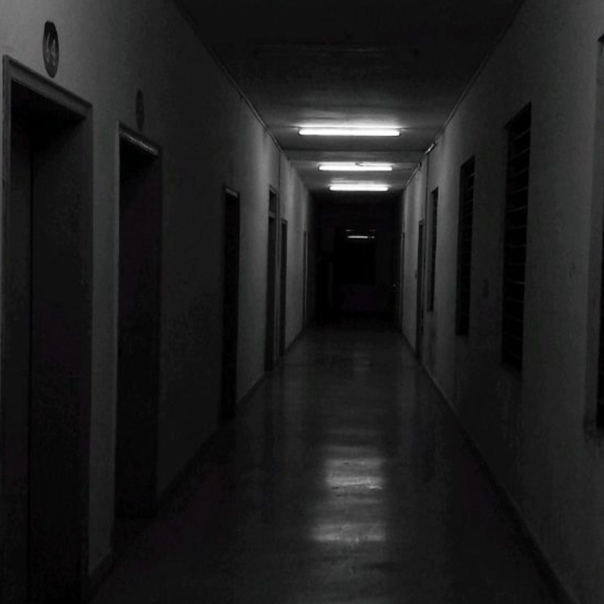 최고위 국가 권력자 대표 이미지